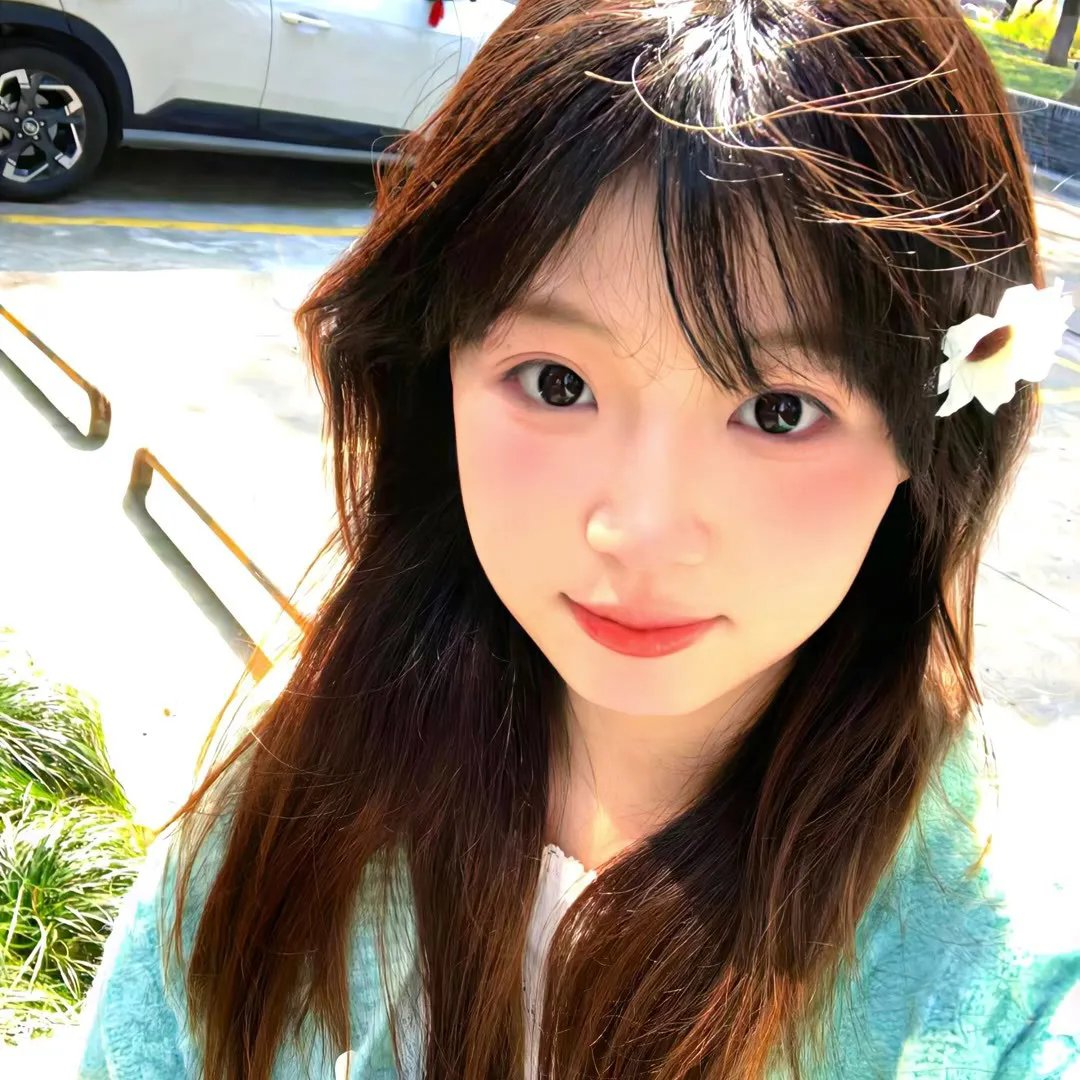 南希报仇封面